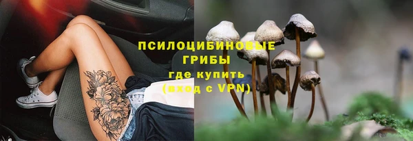 дурь Беломорск