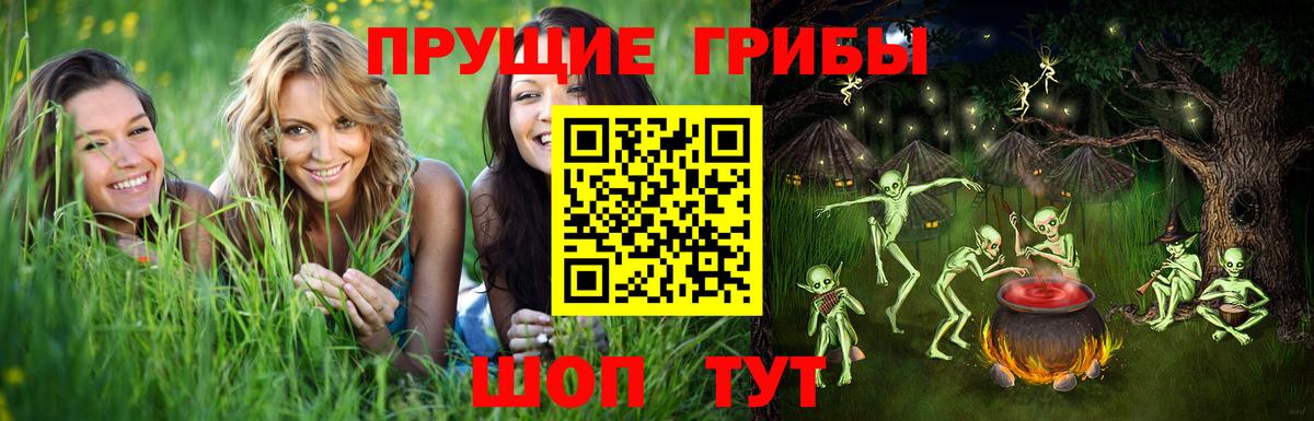 Псилоцибиновые грибы MAGIC MUSHROOMS  Вход с VPN  Воскресенск 