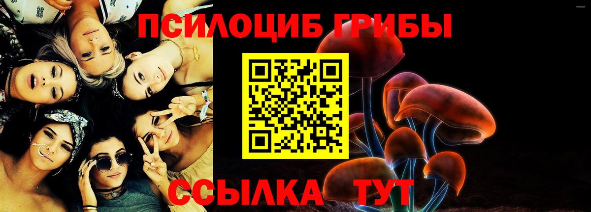 Псилоцибиновые грибы Psilocybe Воскресенск